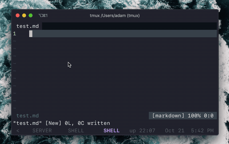 Vim Spell-Checking and Auto Complete
